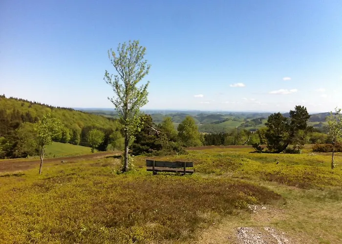 Posthotel Usseln 维林根